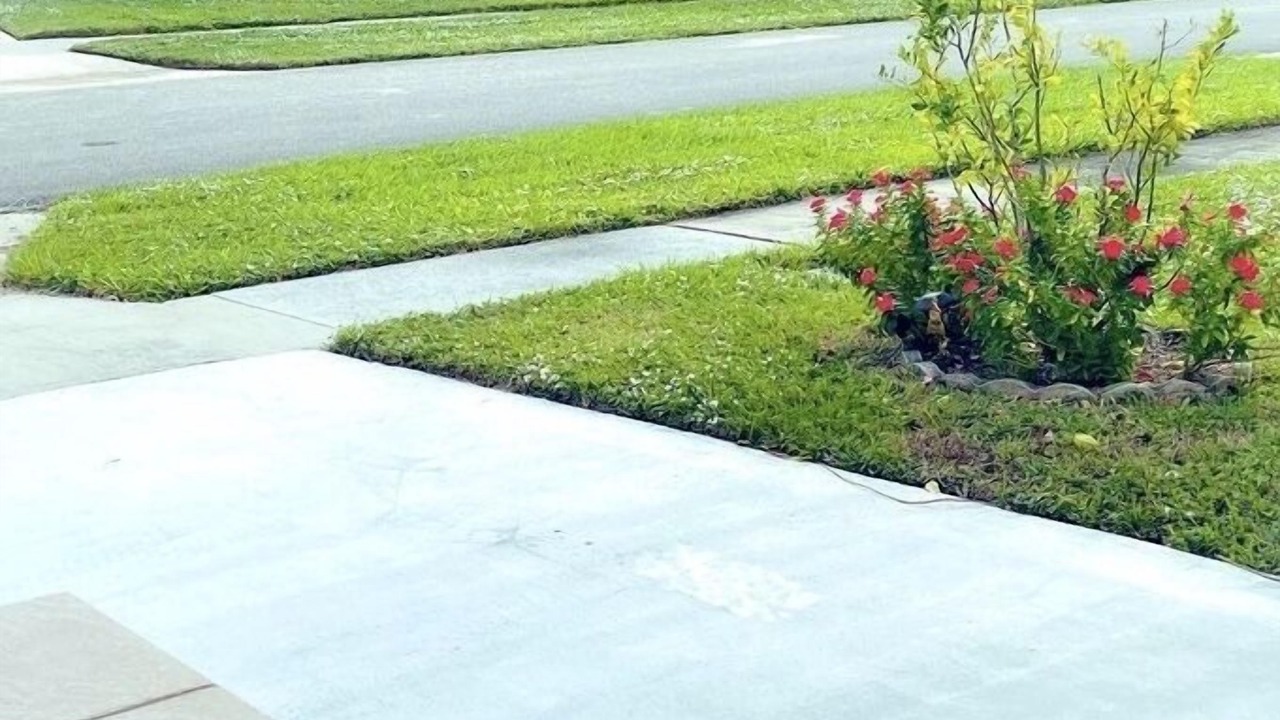 Photo of Outdoor in Boynton Beach