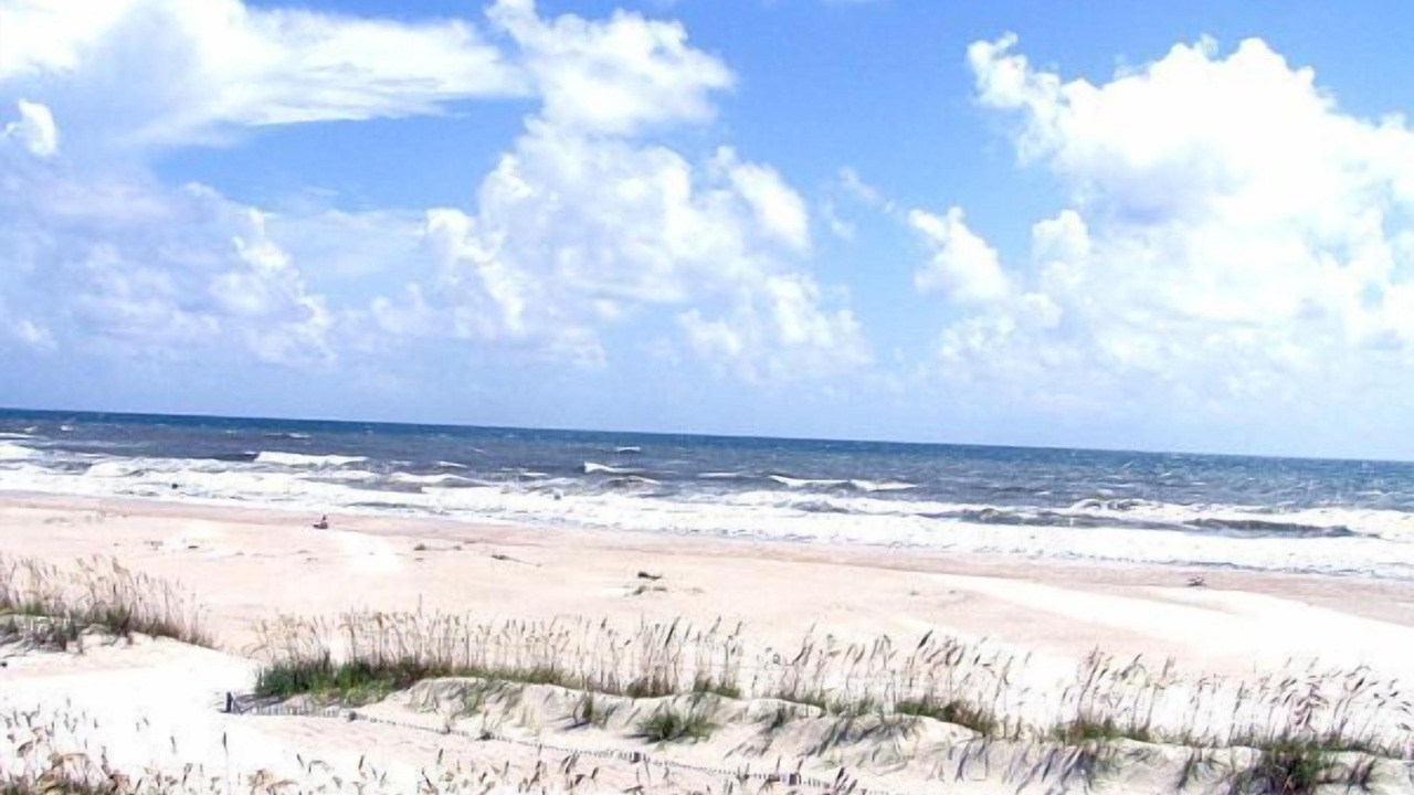 Photo of Others in St. Augustine Beach
