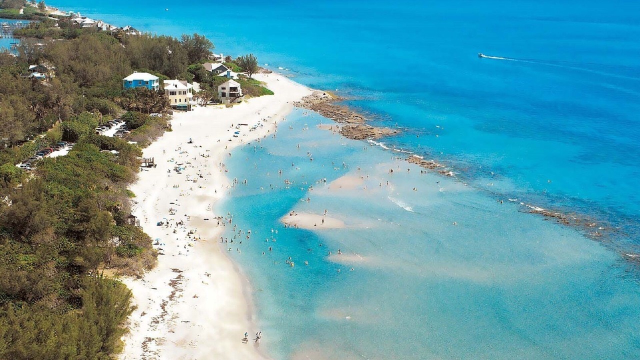 Photo of Others in Hutchinson Island South