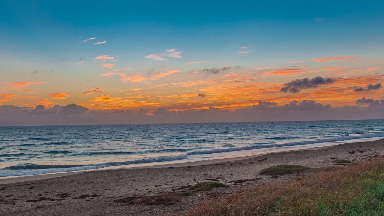 Photo of Others in Hutchinson Island South