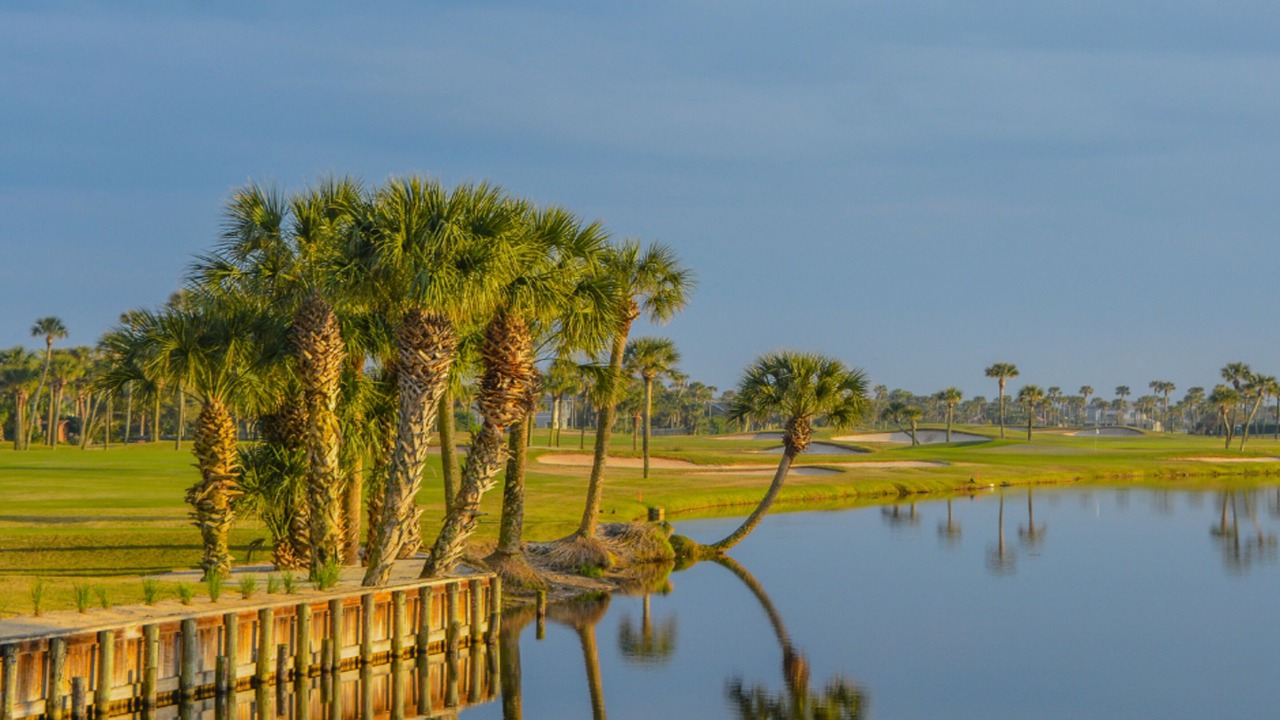 Photo of Others in Sawgrass