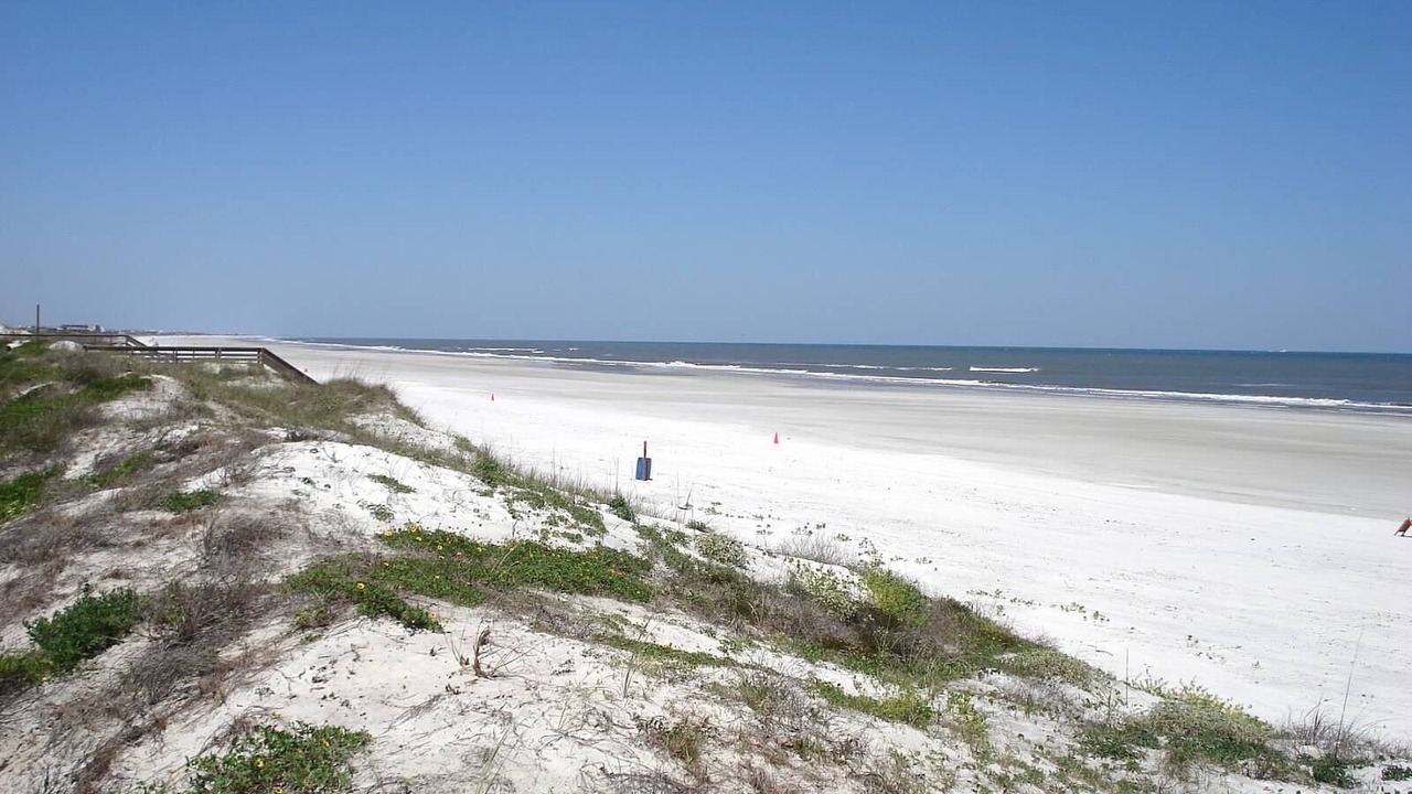 Photo of Others in Crescent Beach