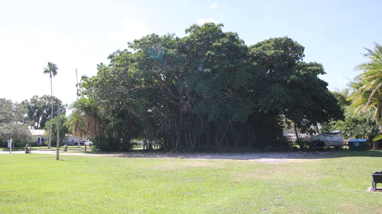 Photo of Others in St. Lucie Village