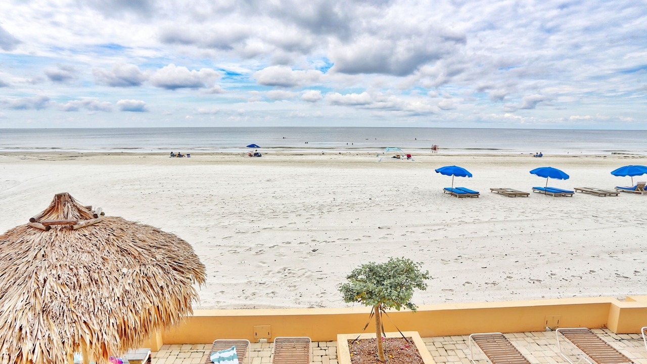 Photo of Others in Madeira Beach