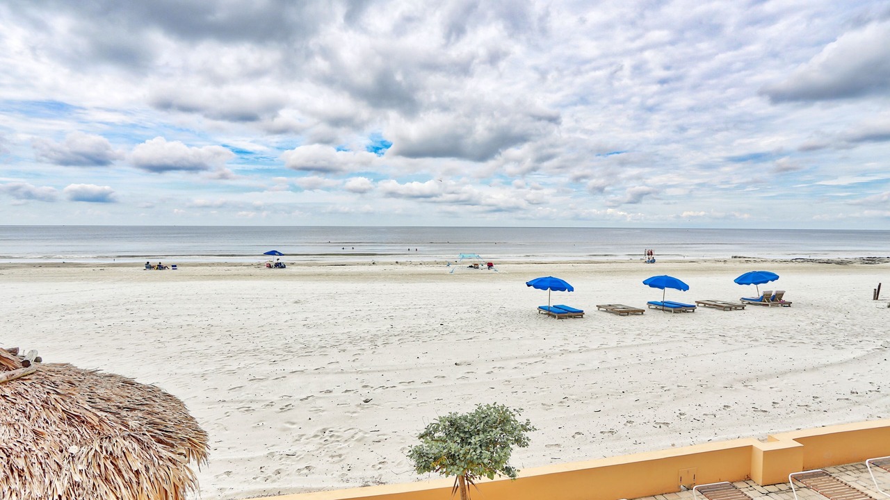 Photo of Others in Madeira Beach