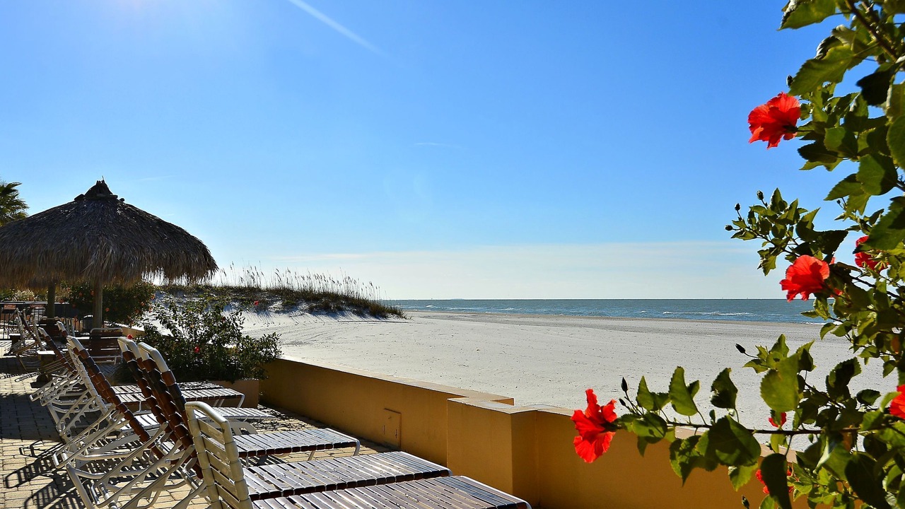 Photo of Others in Madeira Beach