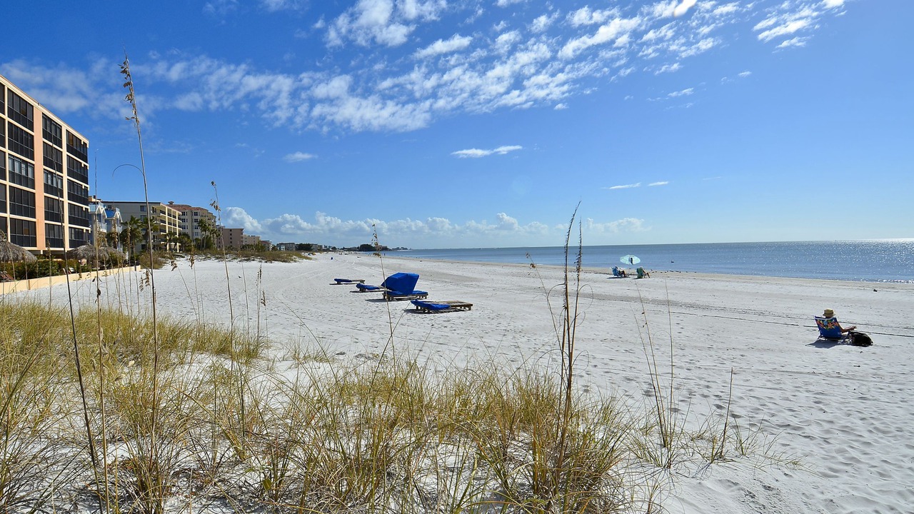 Photo of Others in Madeira Beach