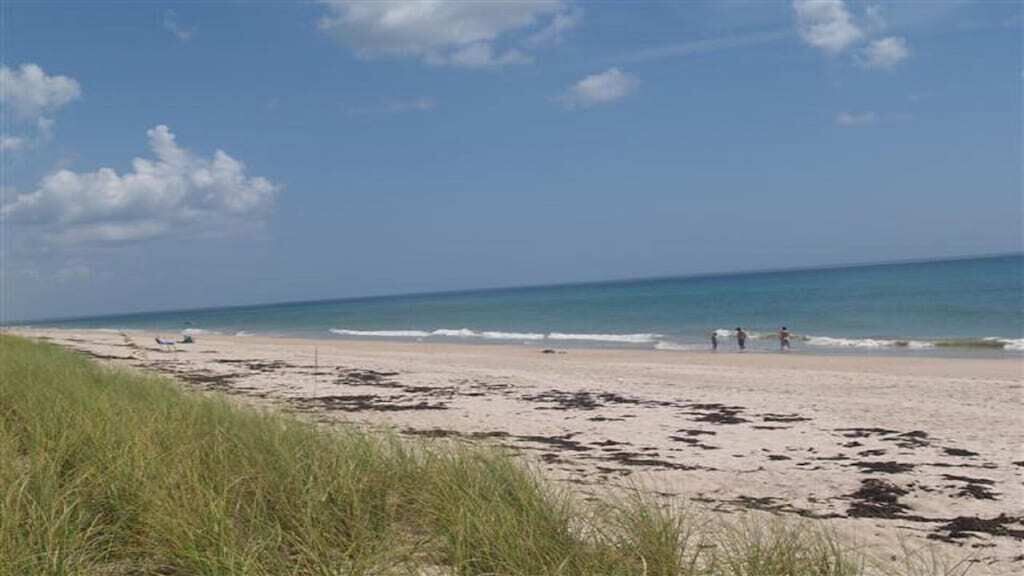 Photo of Others in Nettles Island