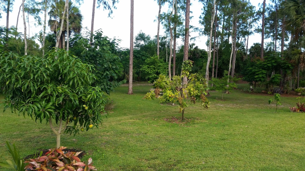 Photo of Others in Oakes Estates