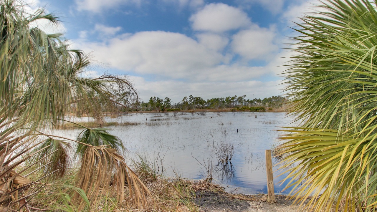 Photo of Outdoor in Gulf Lagoon Beach