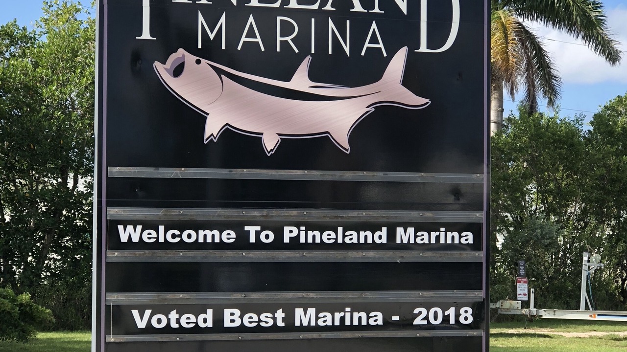 Photo of Outdoor in Pineland