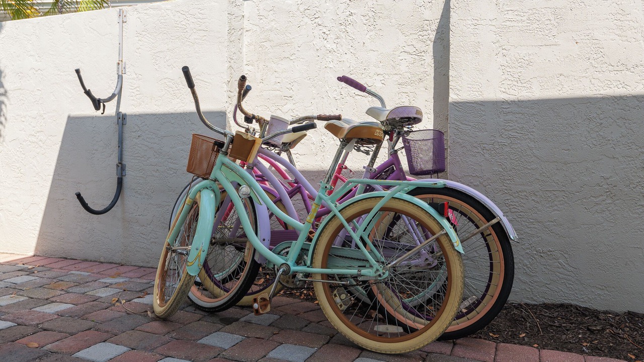 Photo of Outdoor in Ringling Estates