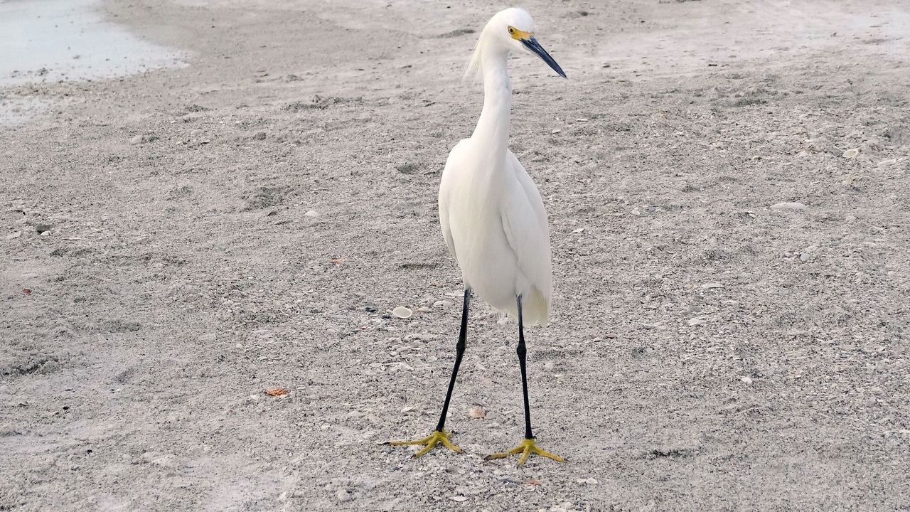 Photo of Others in Naples Park