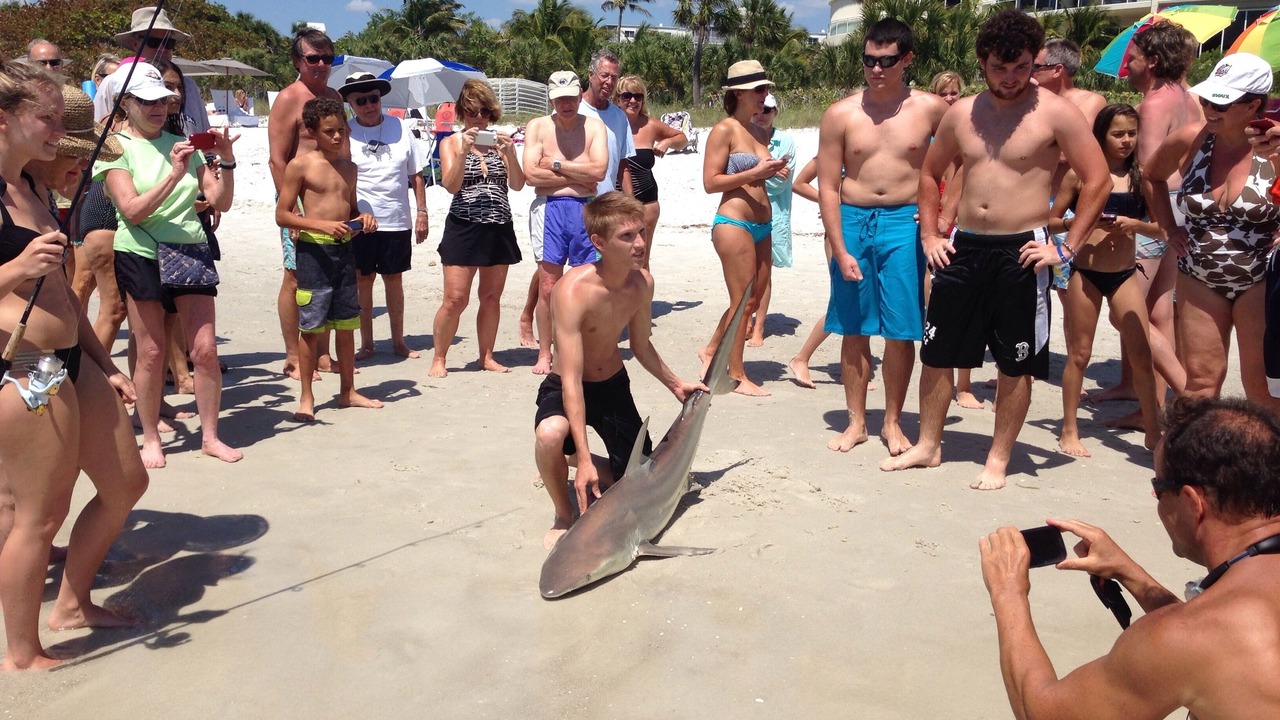 Photo of Others in Naples Park
