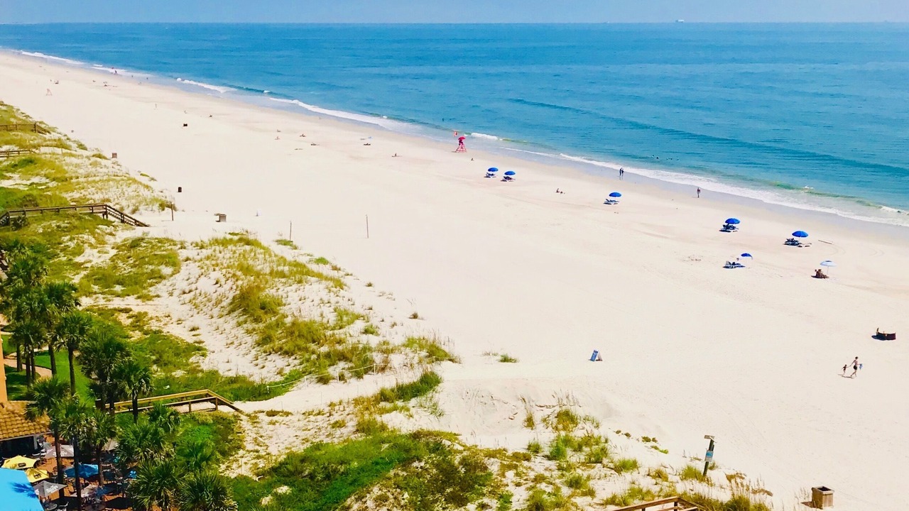 Photo of Others in Jacksonville Beach