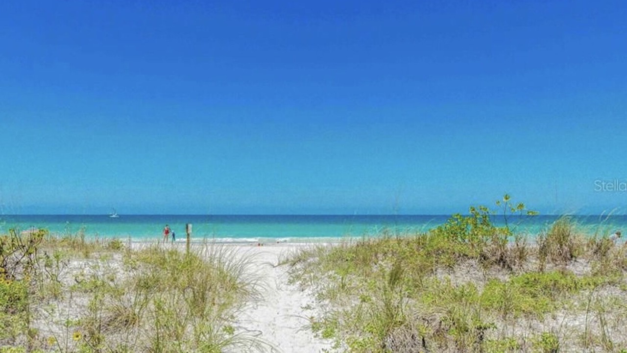 Photo of Others in Indian Rocks Beach