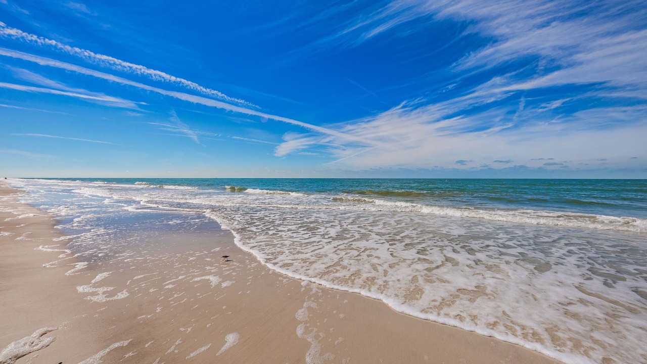 Photo of Others in Indian Rocks Beach