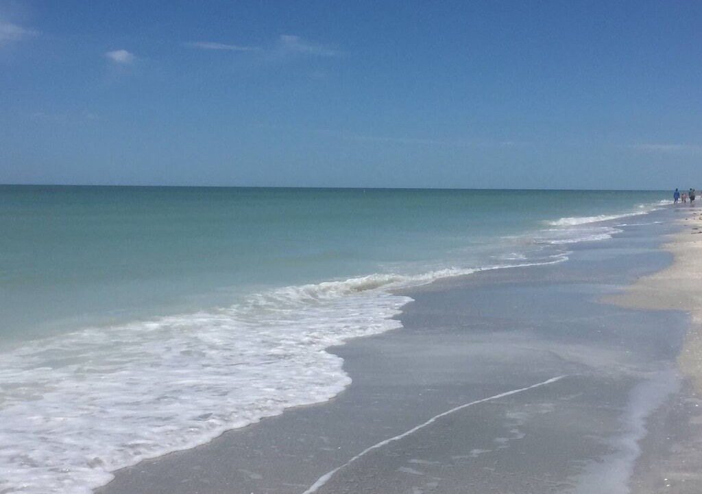 Photo of Others in Indian Rocks Beach