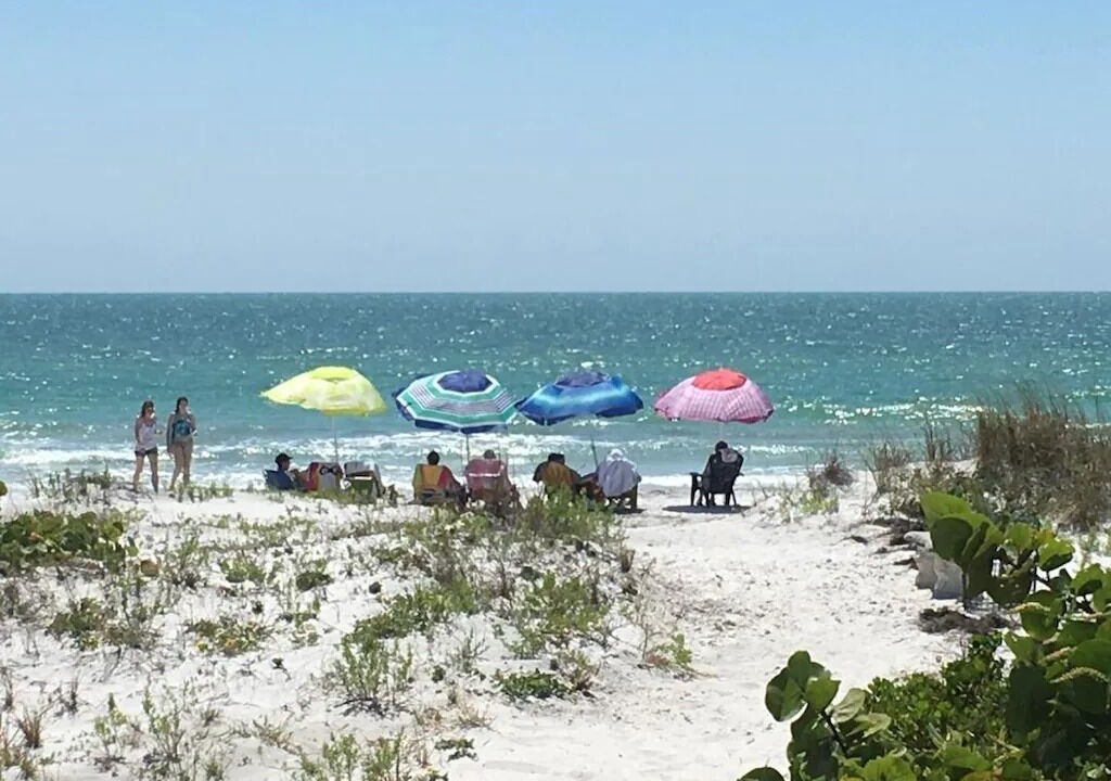 Photo of Others in Indian Rocks Beach