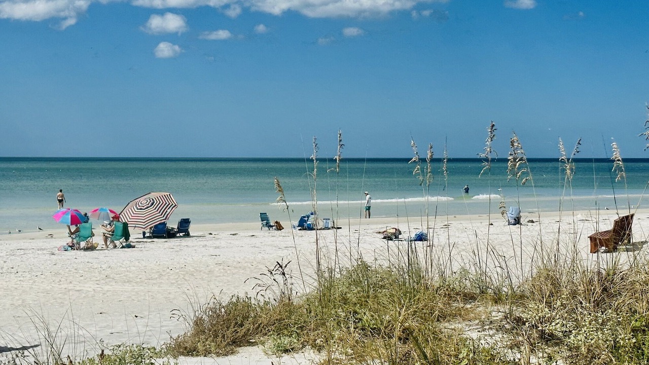 Photo of Others in Indian Rocks Beach