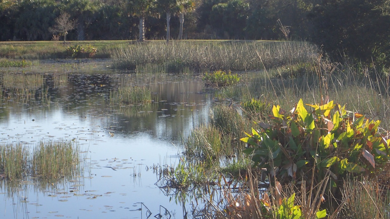 Photo of Others in Stuart