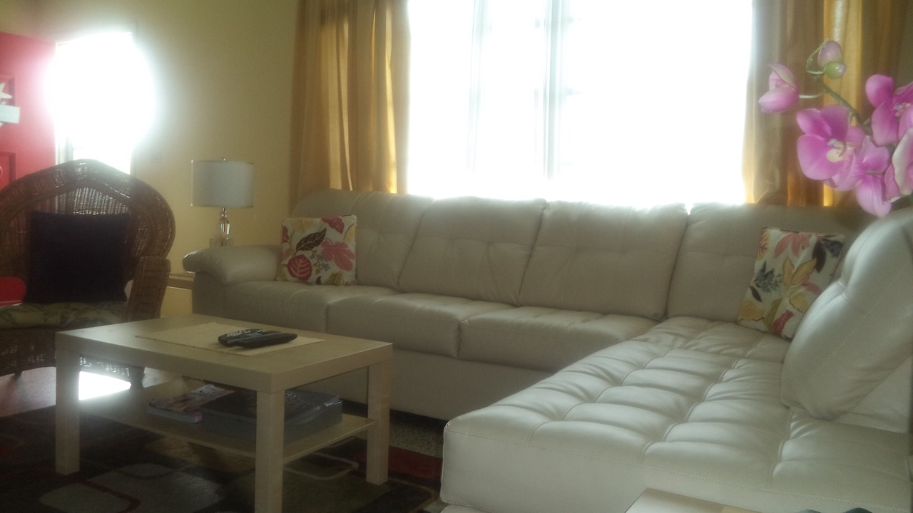 Photo of Livingroom in South Venice