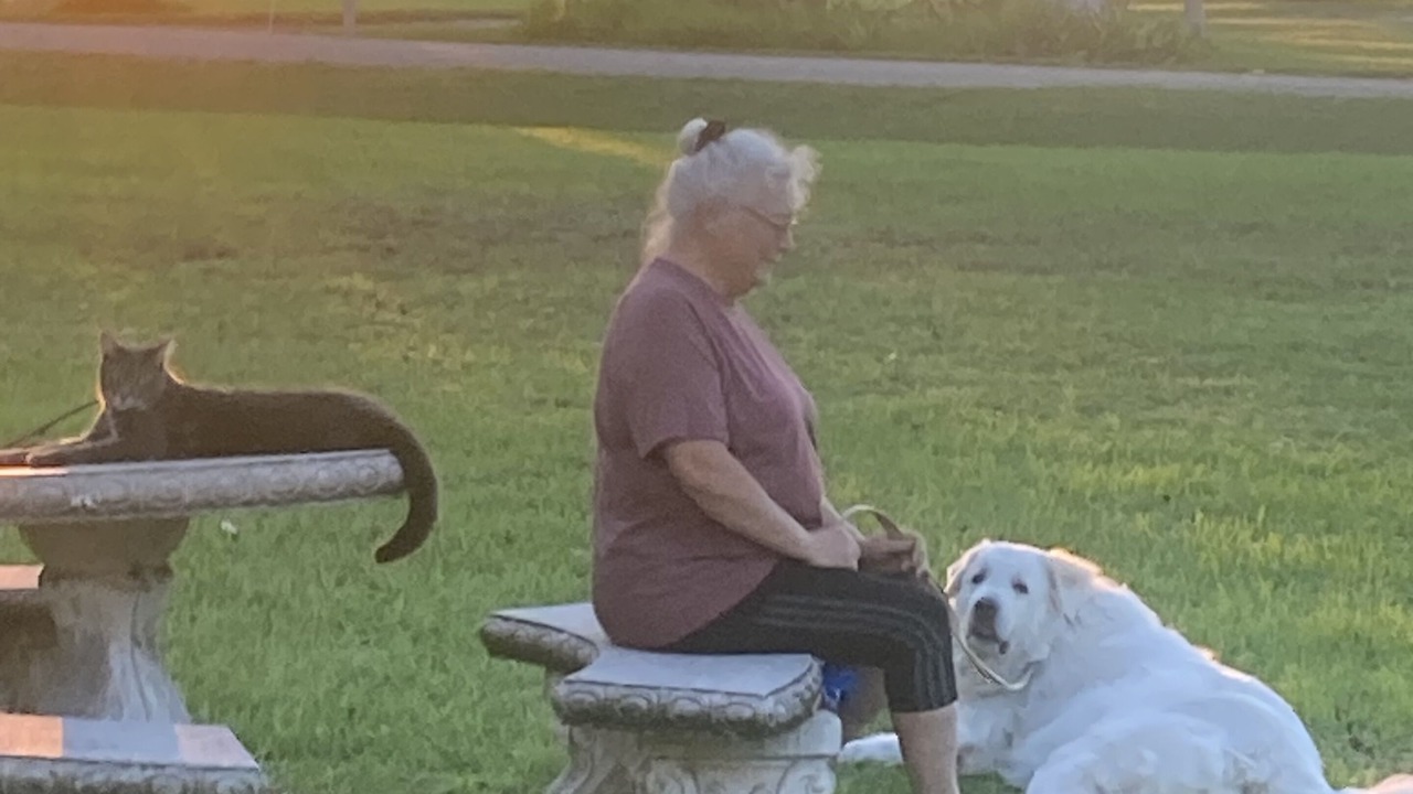 Photo of Others in Broadview Manor