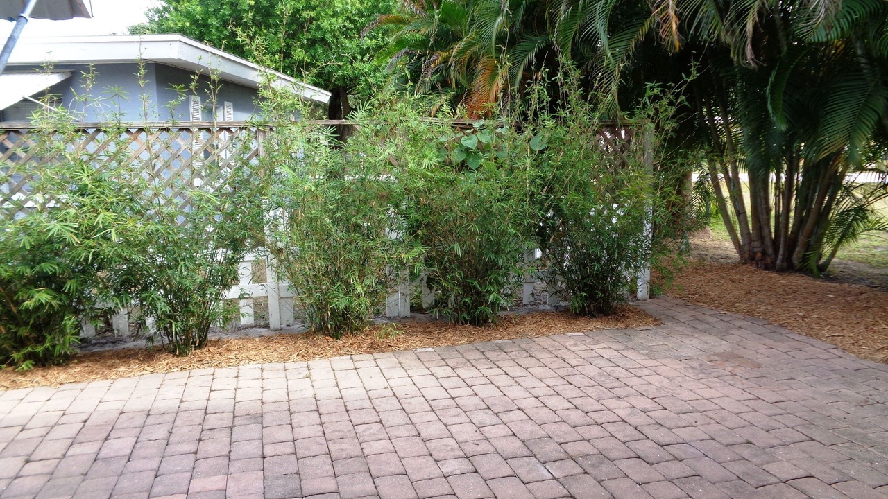 Photo of Outdoor in Broadview Manor