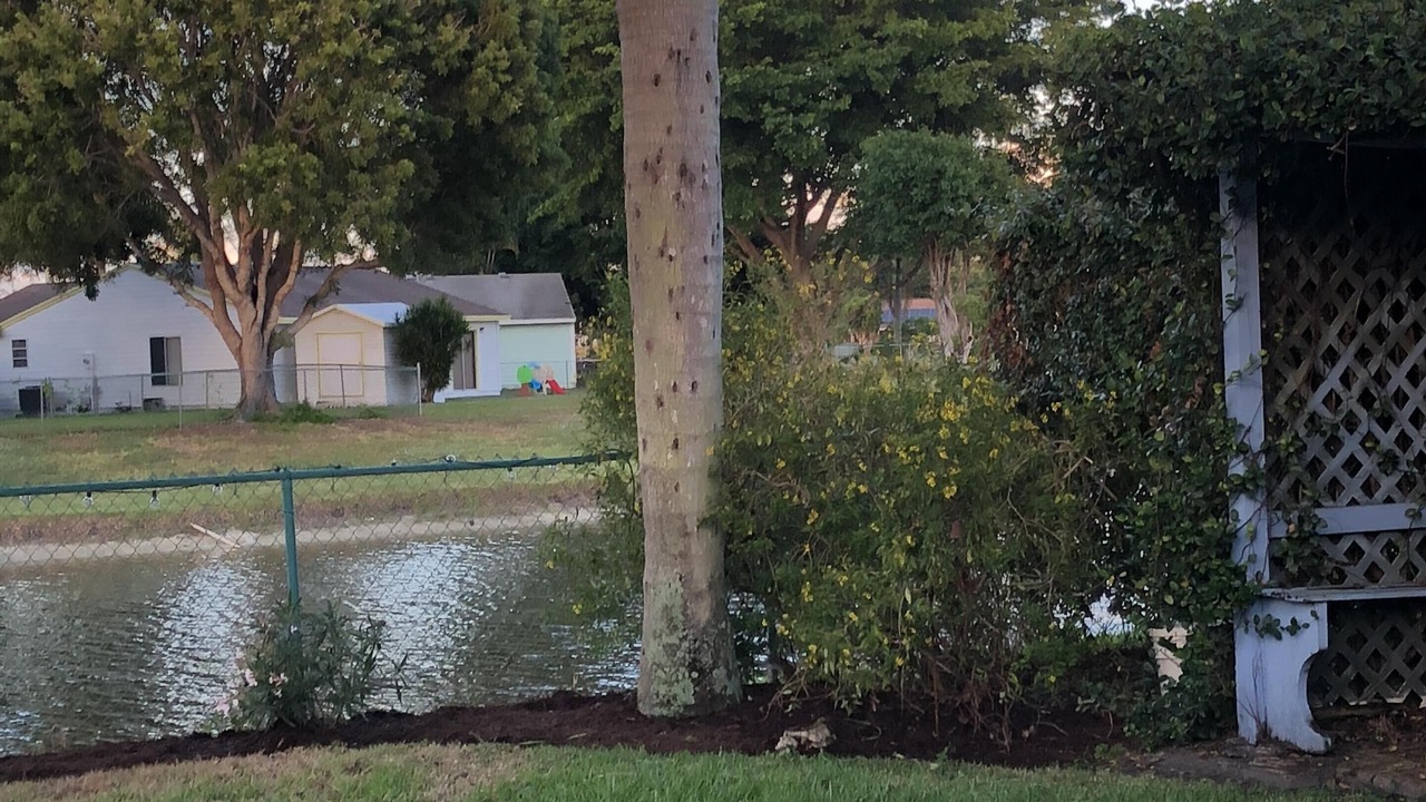 Photo of Outdoor in Boynton Beach