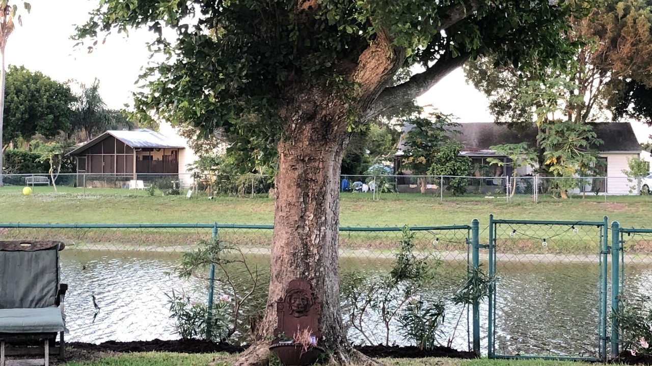Photo of Outdoor in Boynton Beach