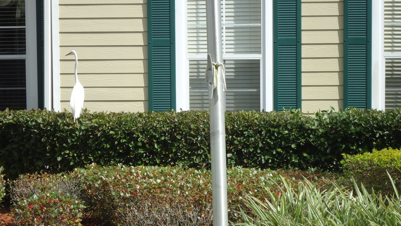 Photo of Outdoor in Venetian Bay Villages