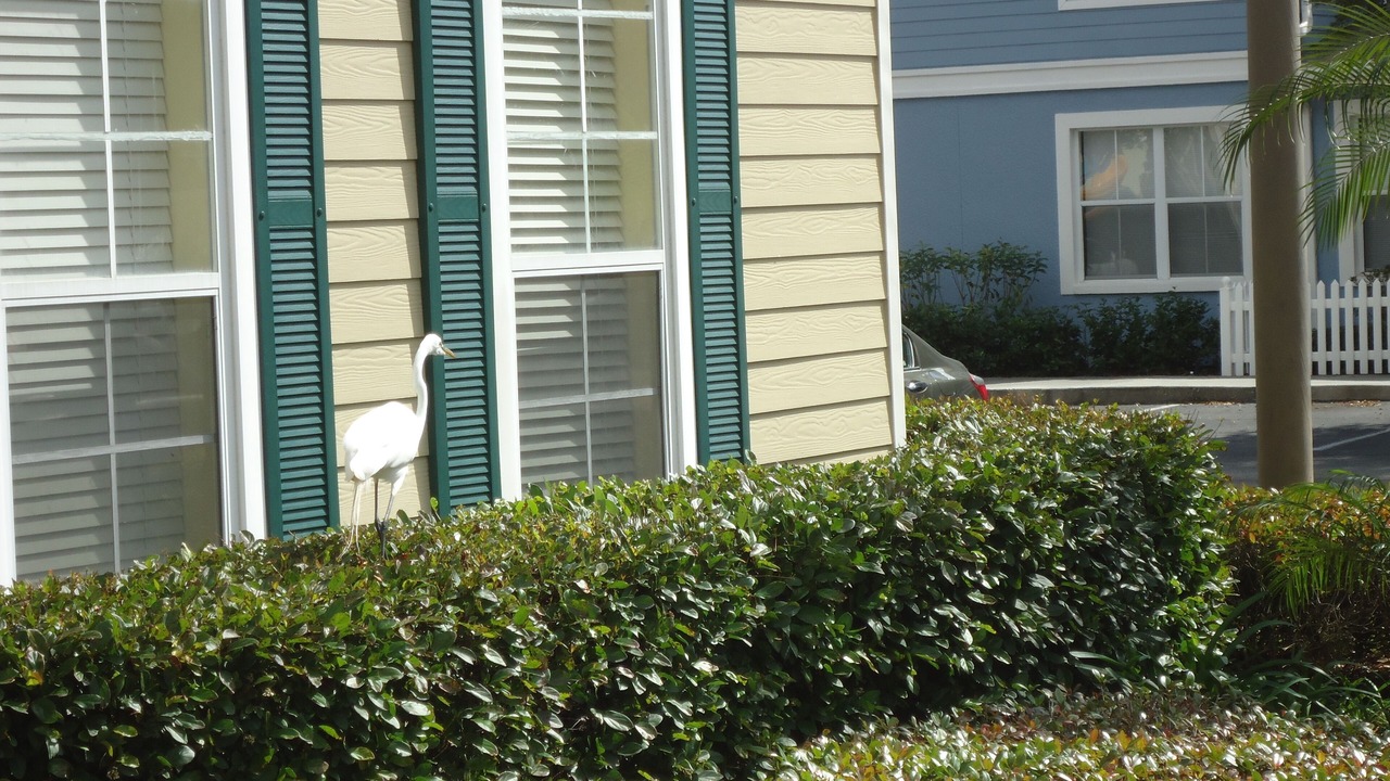 Photo of Outdoor in Venetian Bay Villages