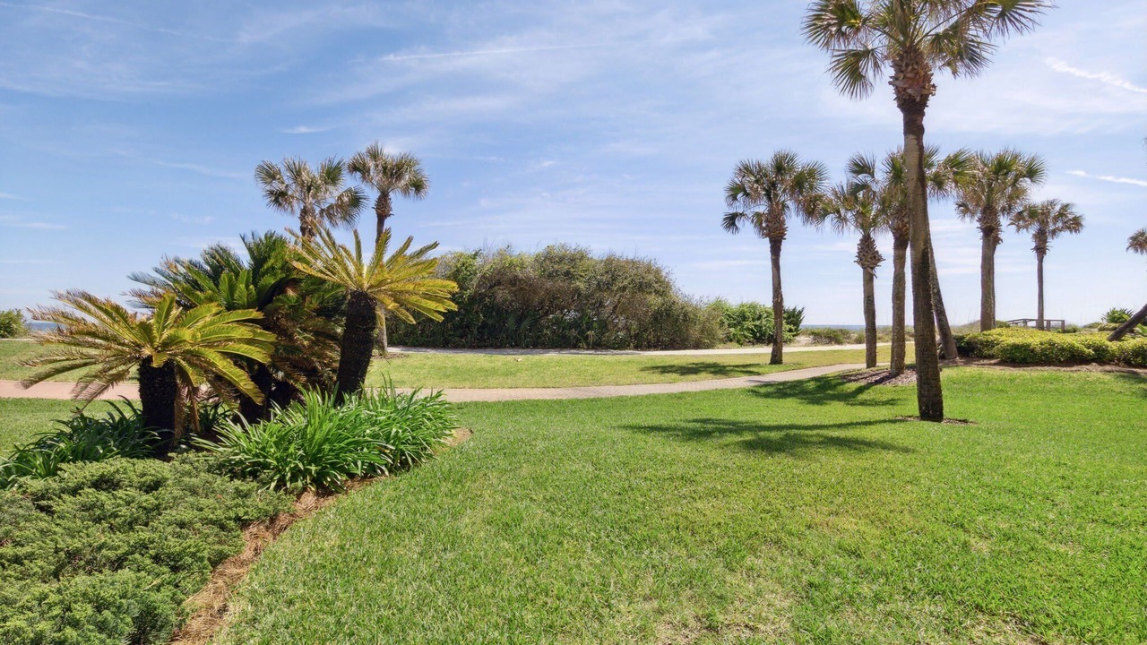 Photo of Outdoor in Fernandina Beach