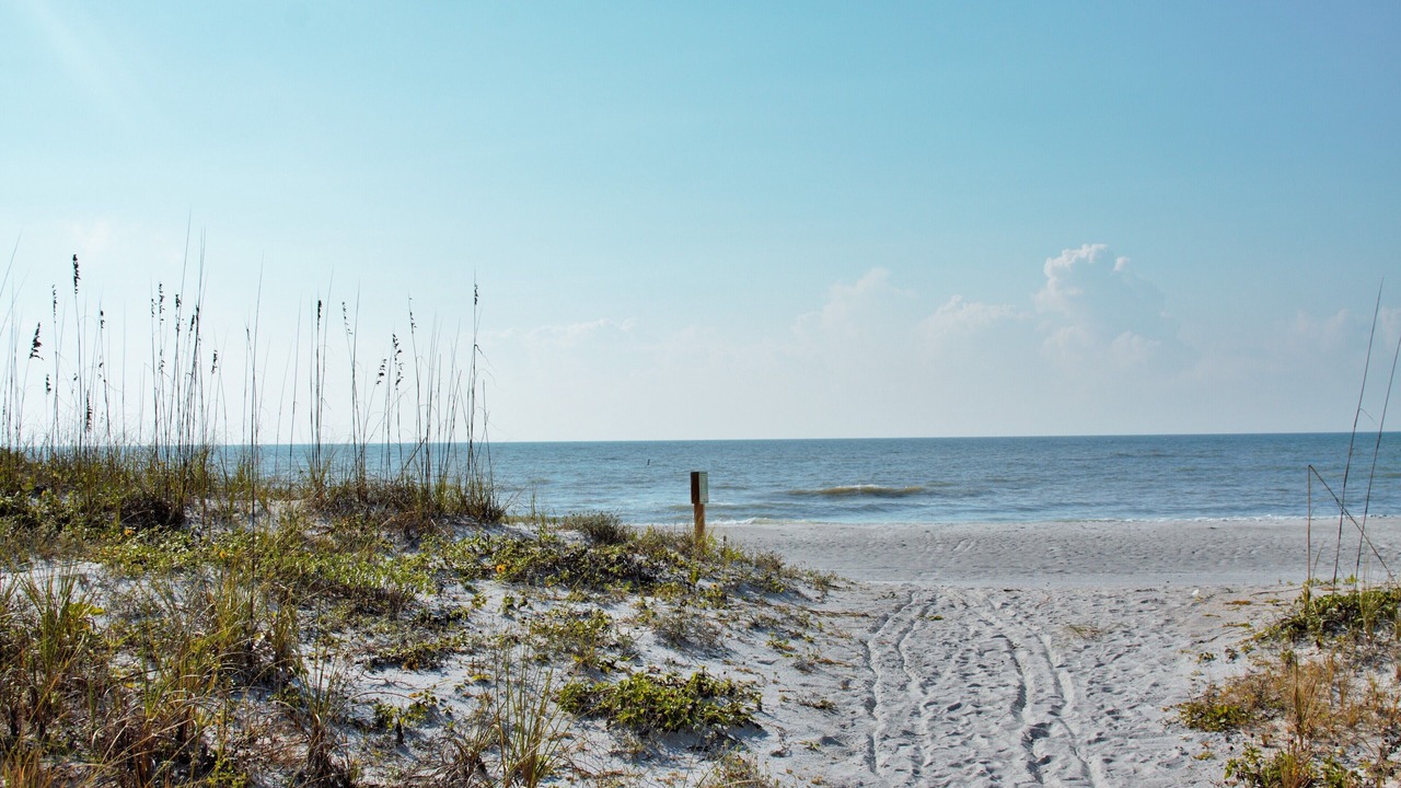 Photo of Others in Indian Rocks Beach