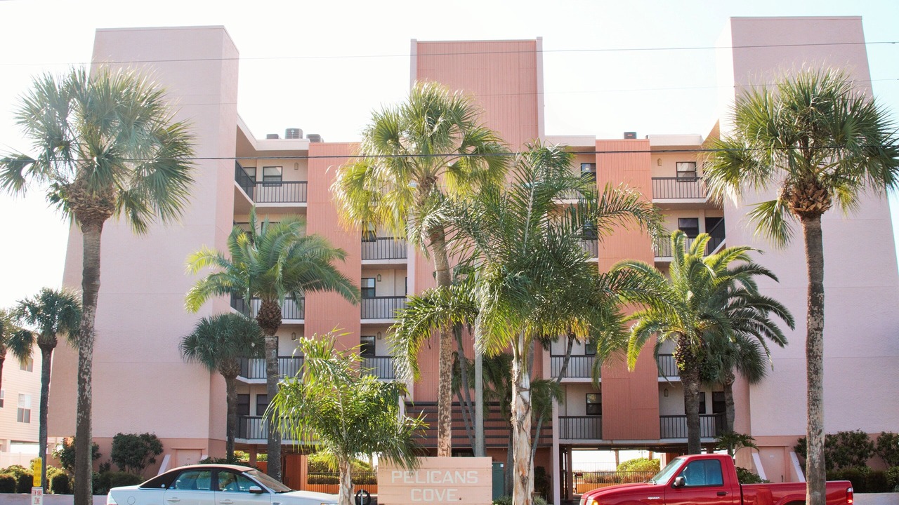 Photo of Others in Indian Rocks Beach