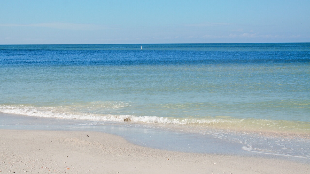 Photo of Others in Indian Rocks Beach