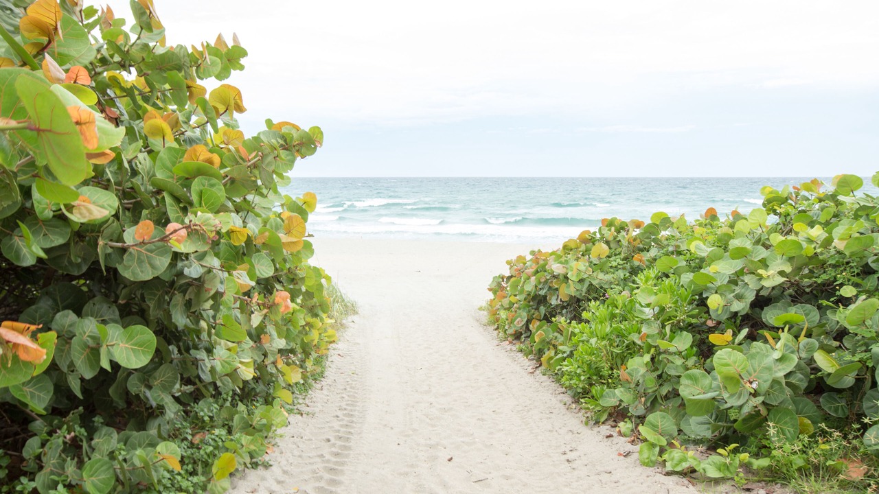 Photo of Others in Ocean Ridge