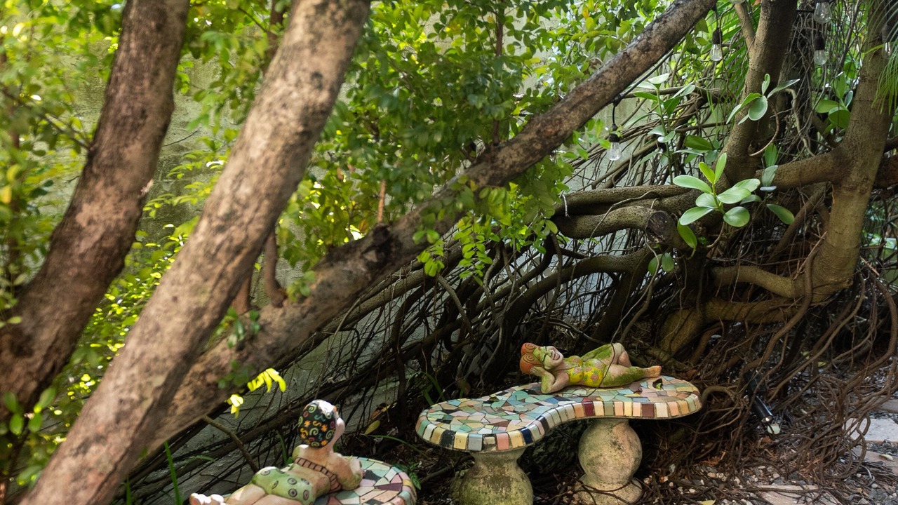 Photo of Outdoor in East Little Havana