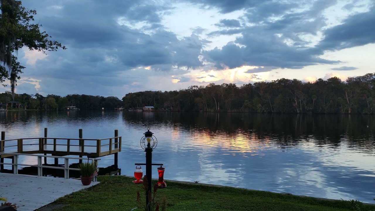Photo of Others in Homosassa
