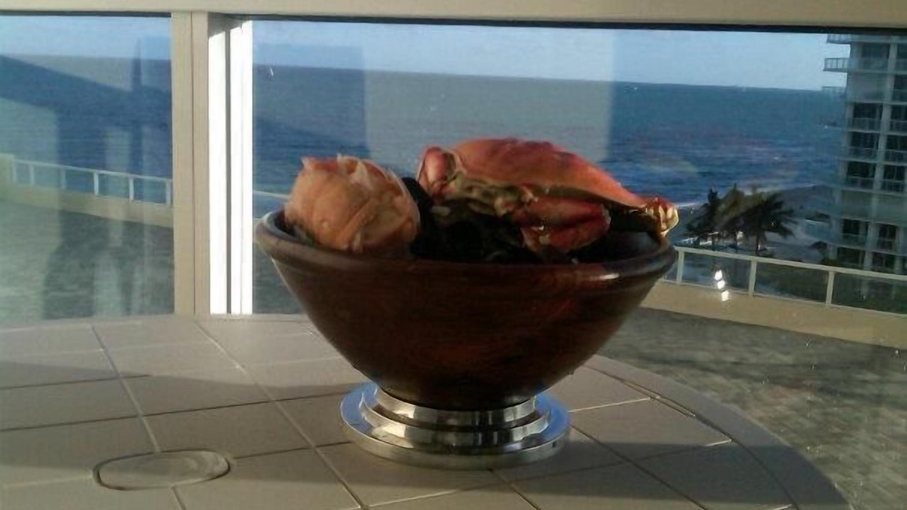 Photo of Others in Sunny Isles Beach