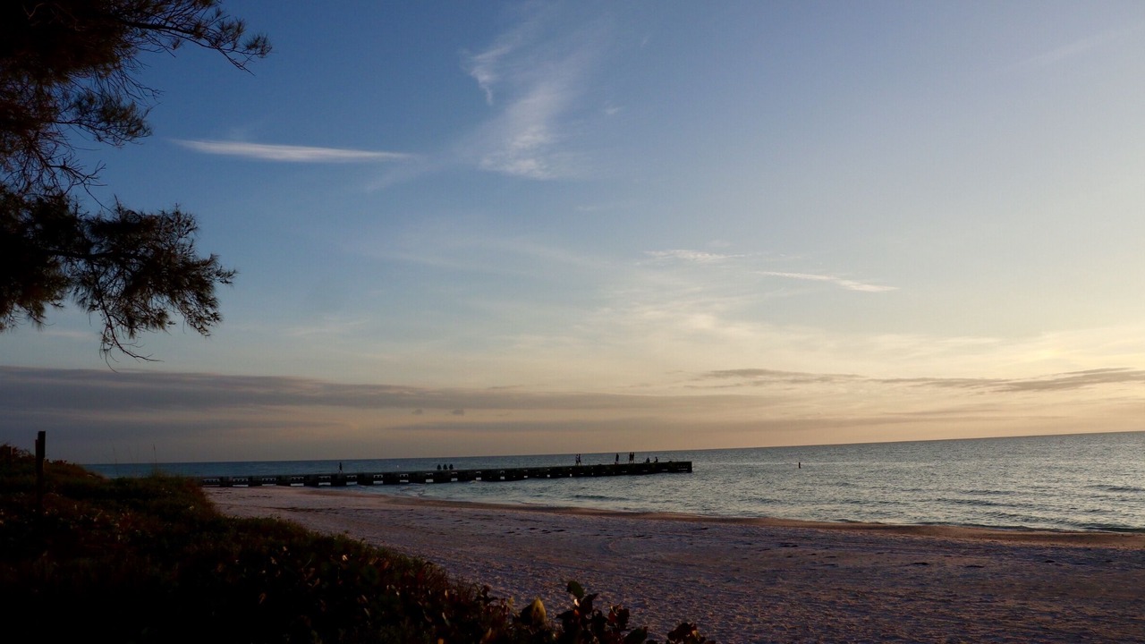 Photo of Others in South Bradenton