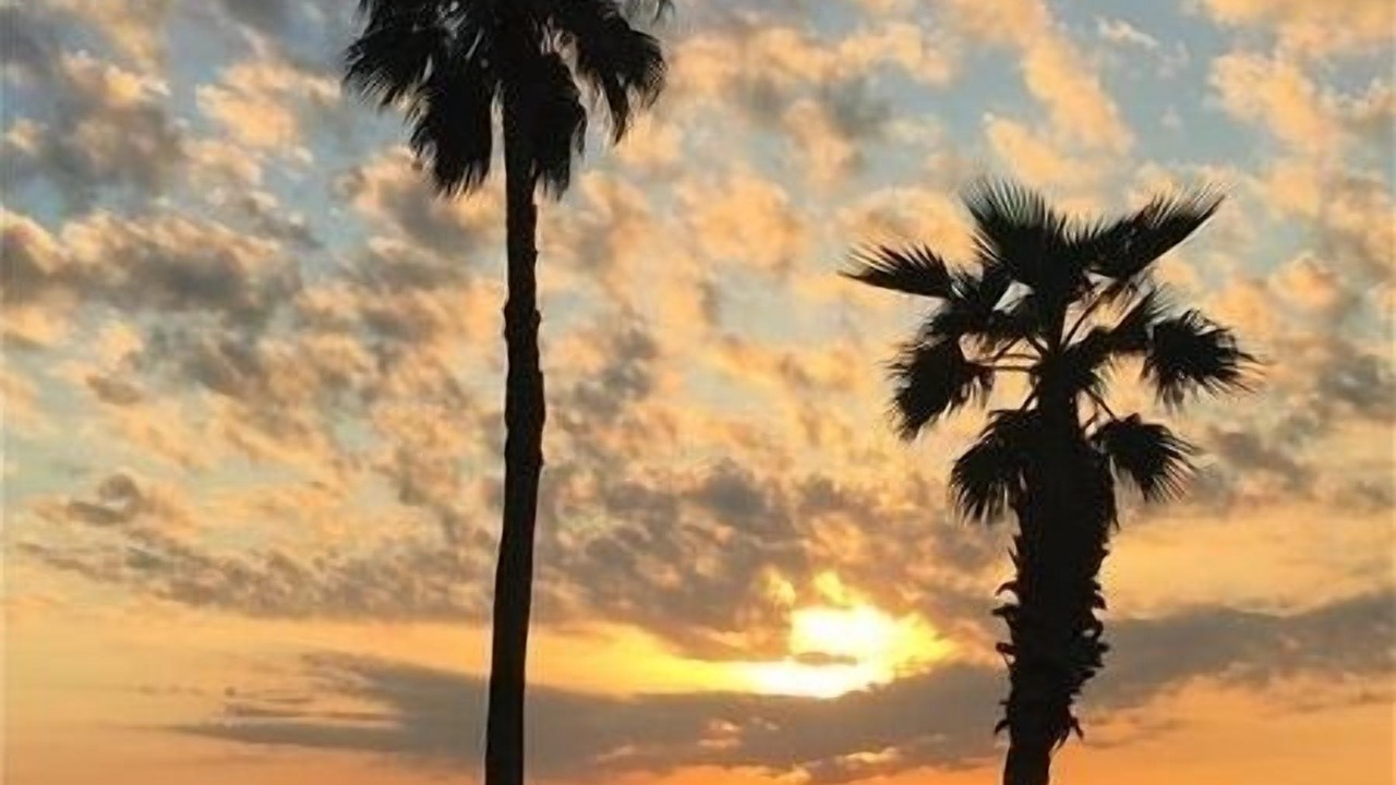 Photo of Others in Longboat Key