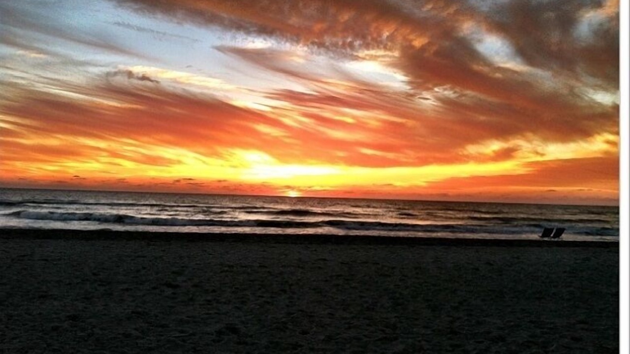Photo of Others in Longboat Key