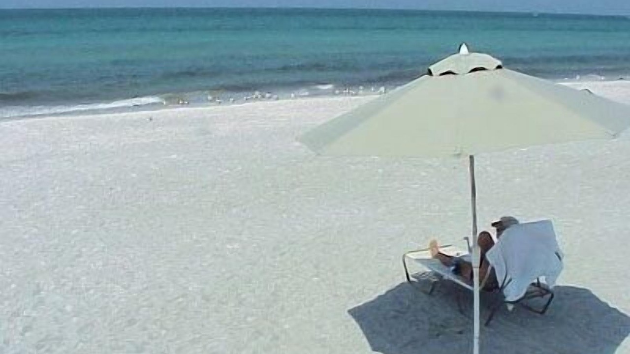 Photo of Others in Longboat Key