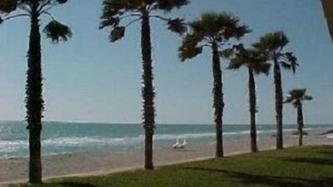 Photo of Others in Longboat Key