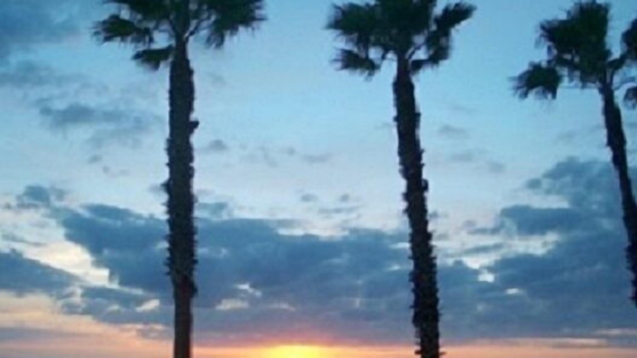 Photo of Others in Longboat Key
