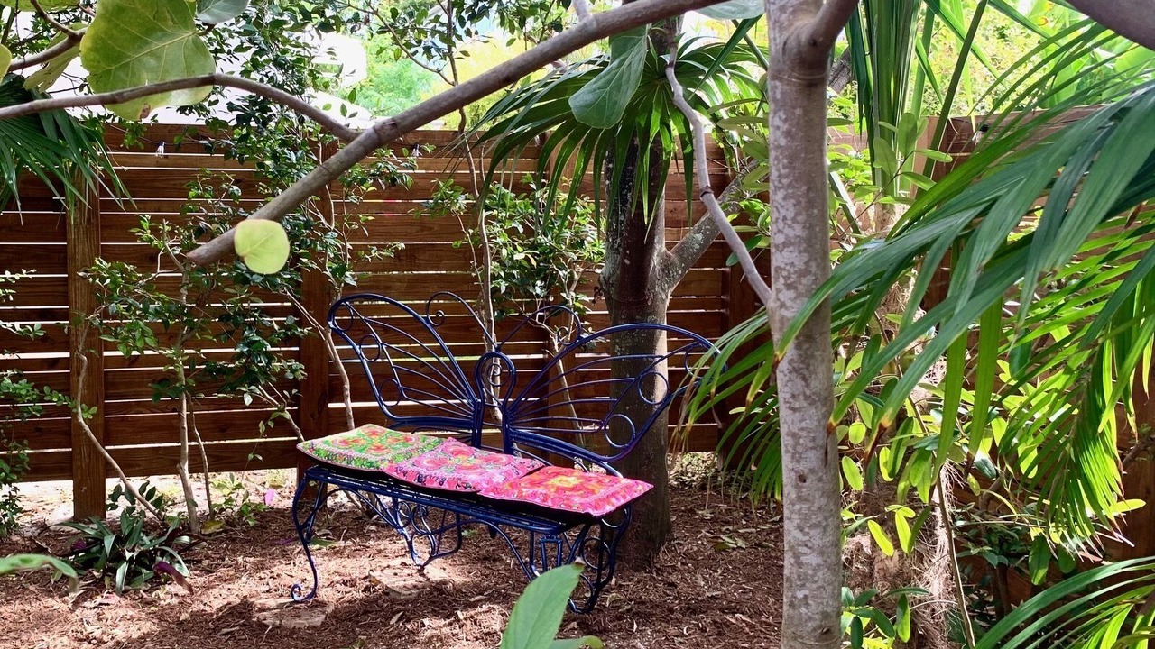 Photo of Outdoor in North Beach