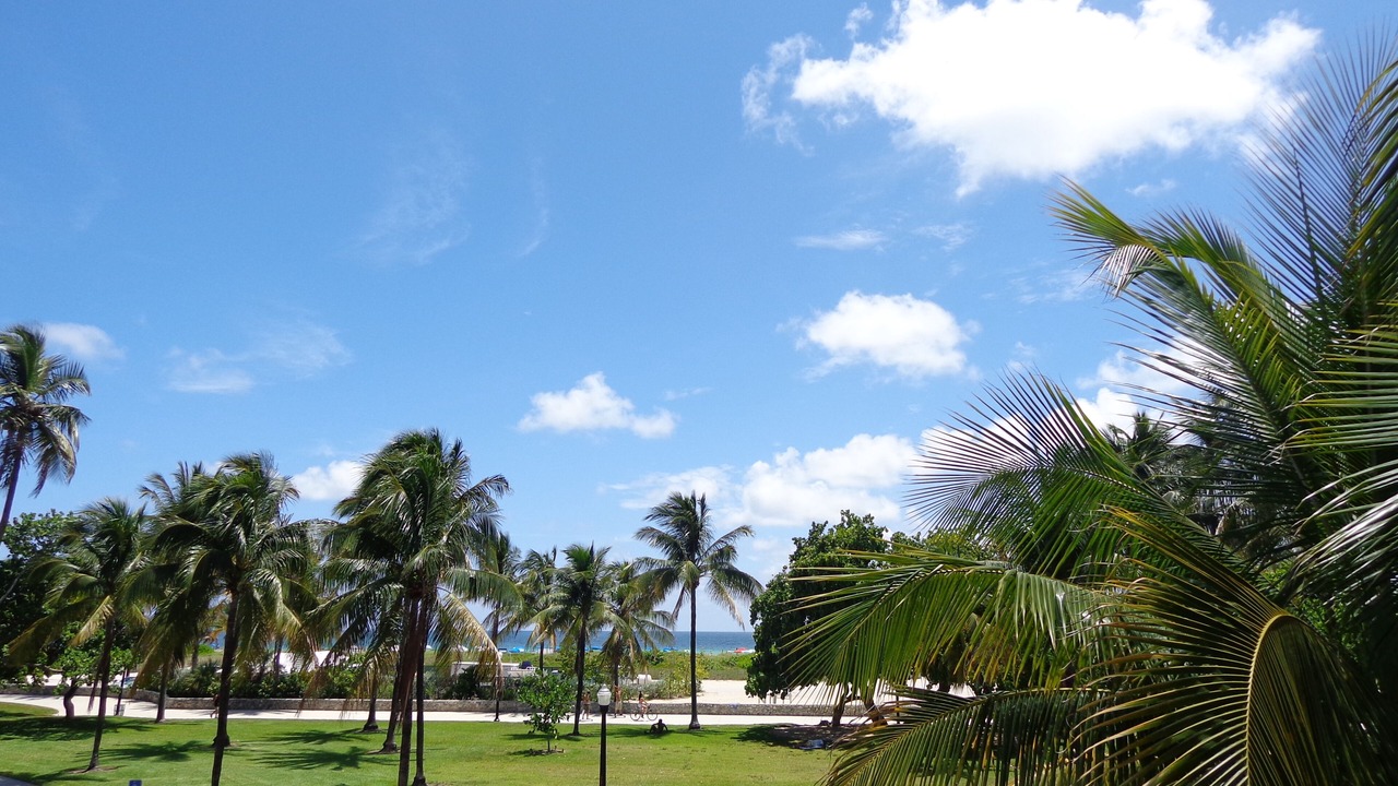 Photo of Patio Balcony in South Beach