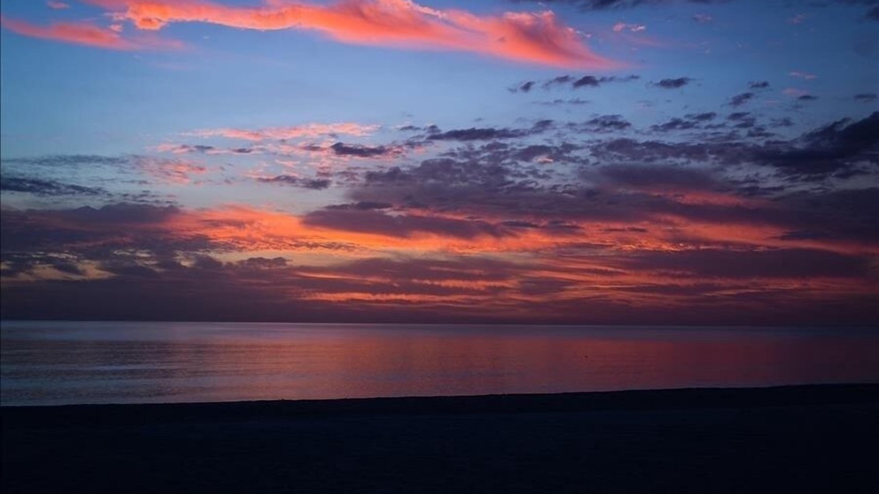 Photo of Others in Longboat Key