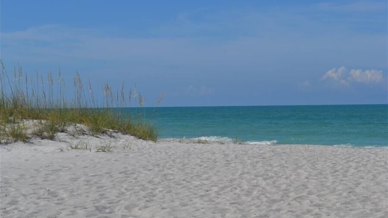Photo of Others in Longboat Key